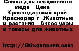 Самка для секционного меда › Цена ­ 6 - Краснодарский край, Краснодар г. Животные и растения » Аксесcуары и товары для животных   